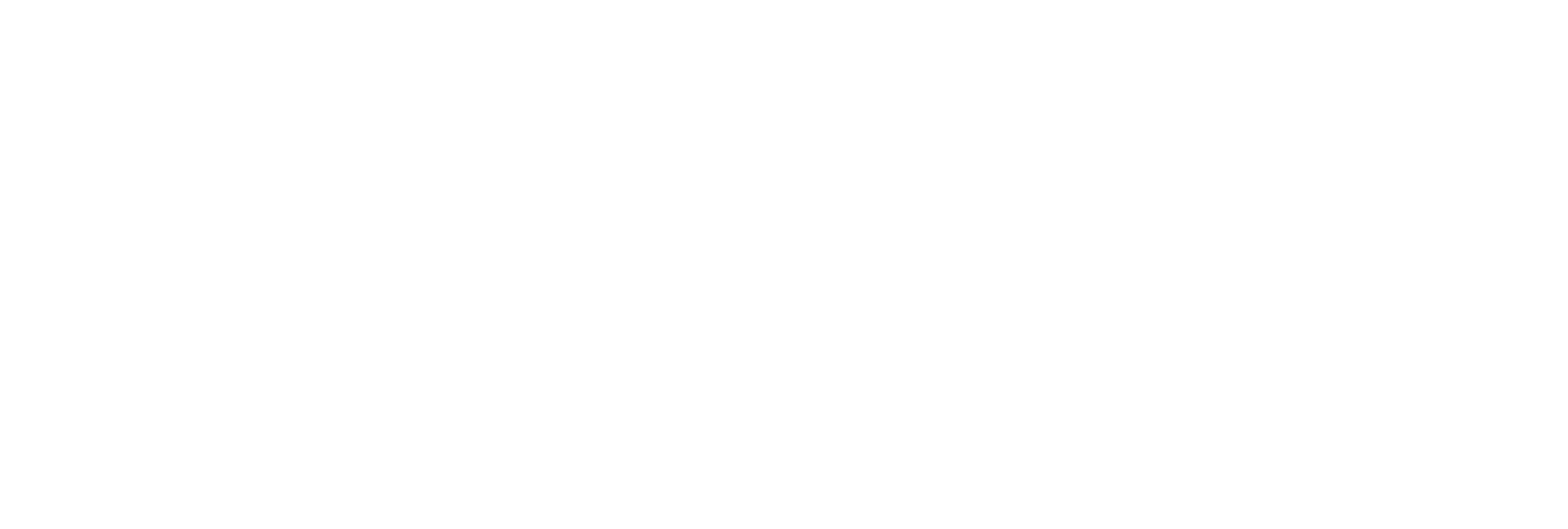 Maison Detailing Logo